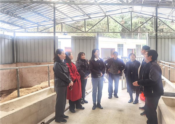 1680052718486811.png 圖片1_副本.png