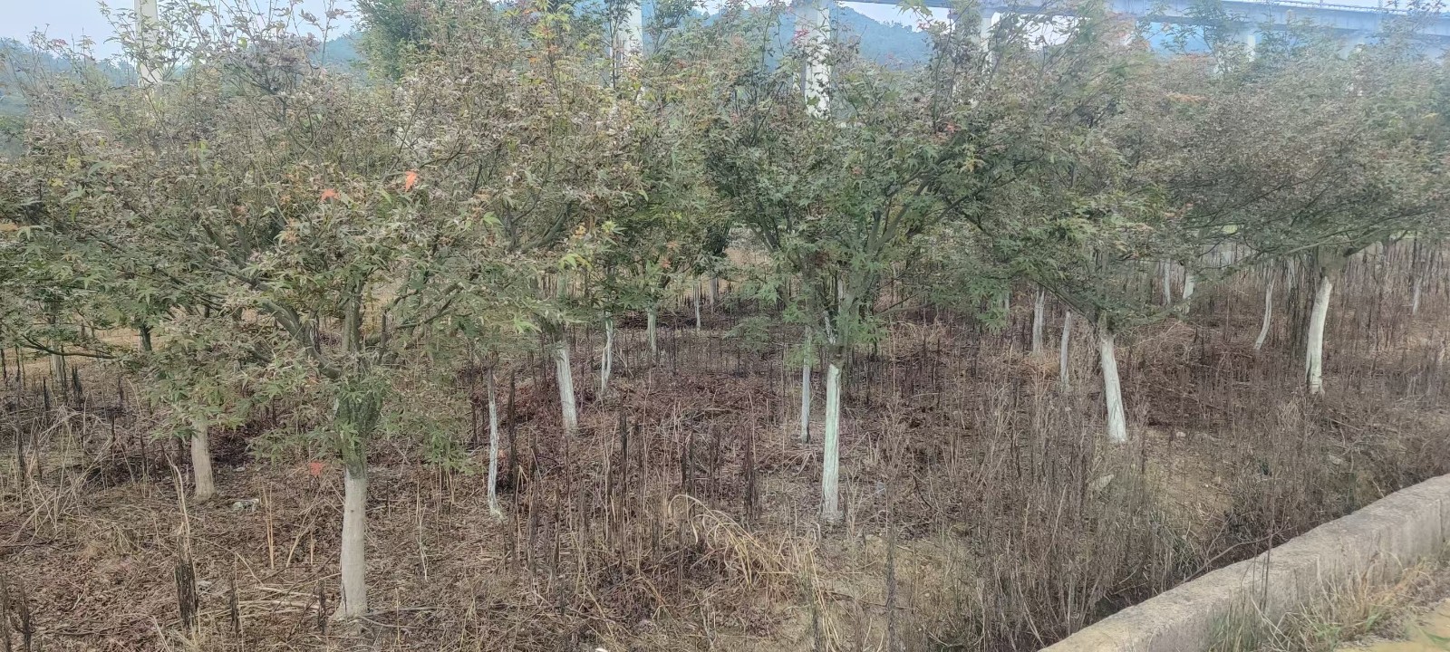 1758790771136503.jpg 圖片關(guān)鍵詞