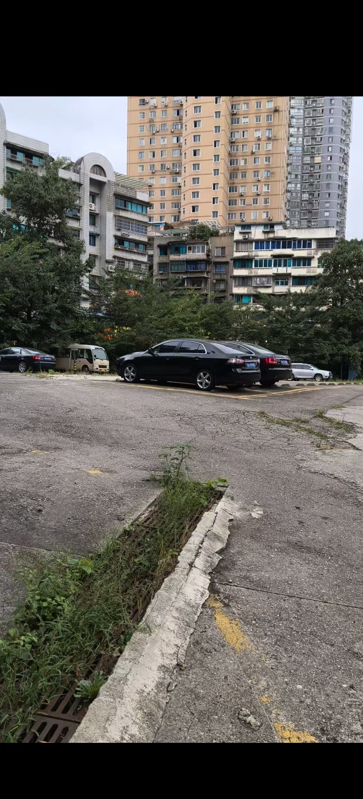 1764295703181909.jpg 220deb2ab53a6f6341365d57ab0ff959.jpg