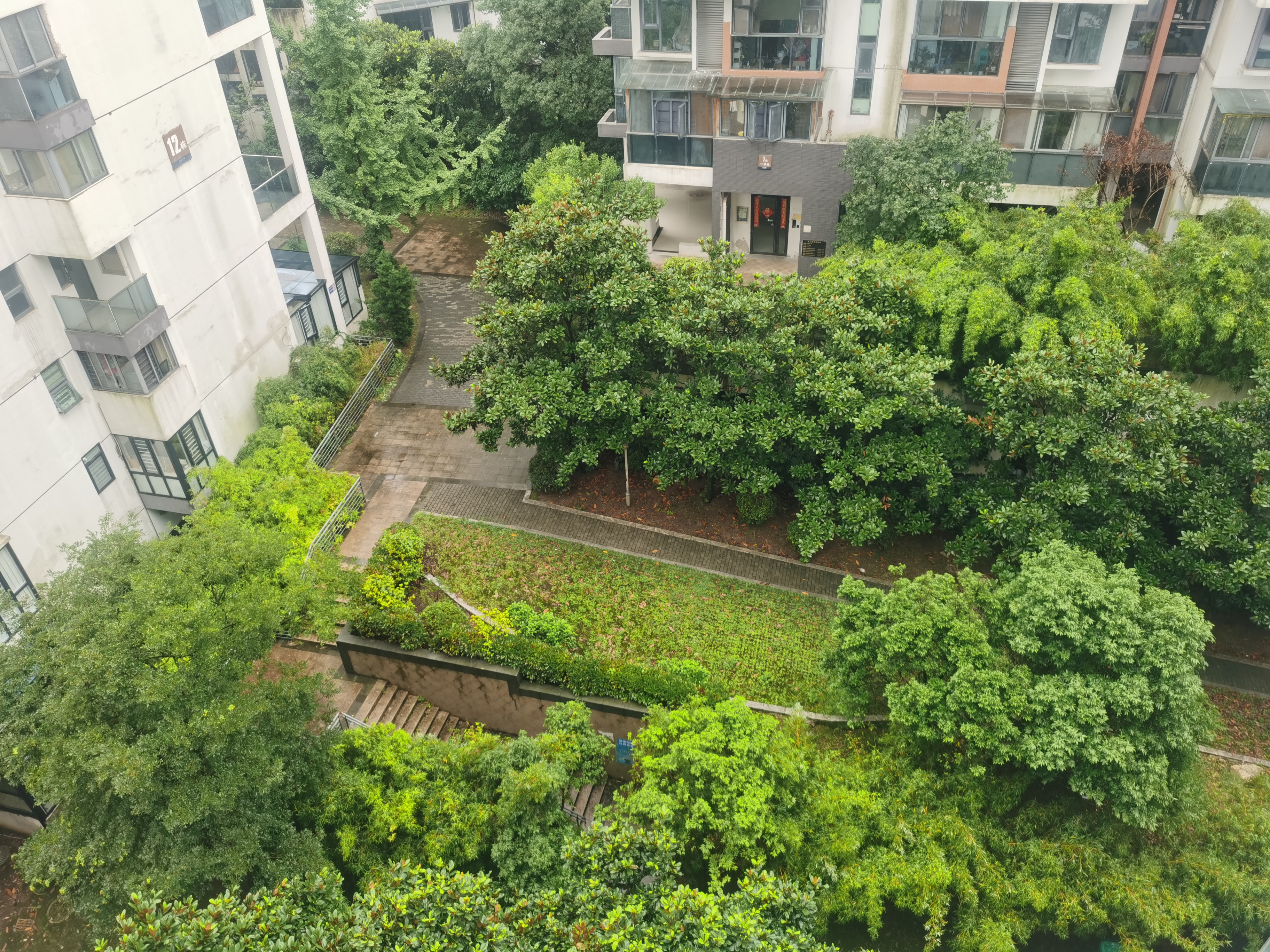 1764842563466770.jpg IMG_20250723_105508.jpg