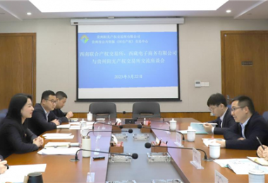經(jīng)驗交流  共促發(fā)展——西南聯(lián)合產(chǎn)權(quán)交易所、西藏電子商務(wù)有限公司 與貴州陽光產(chǎn)權(quán)交易所交流座談