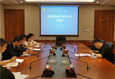 貴州陽(yáng)光產(chǎn)權(quán)交易所召開(kāi)閑置低效資產(chǎn)盤活工作調(diào)度會(huì)