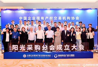 貴州陽光產(chǎn)權(quán)交易所參加中國企業(yè)國有產(chǎn)權(quán)交易機(jī)構(gòu)協(xié)會陽光采購分會成立大會