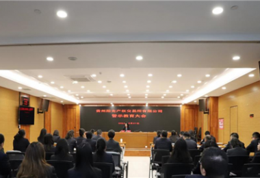 以案為鑒，警醒前行——貴州陽光產(chǎn)權(quán)交易所黨委組織召開2024年警示教育大會(huì)