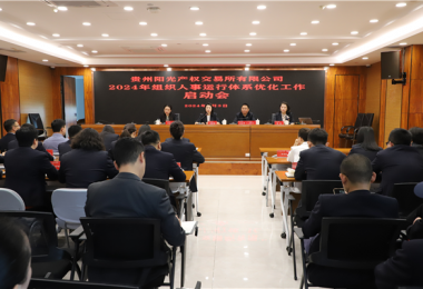 貴州陽光產權交易所有限公司召開組織人事運行體系優(yōu)化啟動會