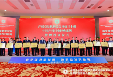 貴州陽光產(chǎn)權(quán)交易所當(dāng)選中國產(chǎn)權(quán)協(xié)會常務(wù)理事單位