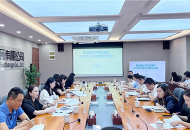 貴州陽光產(chǎn)權(quán)交易所召開2025年上半年經(jīng)營(yíng)分析會(huì)