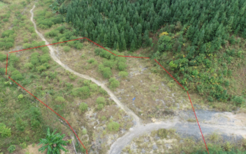 S62余安高速羅望段土地使用權招租（填平區(qū)2）